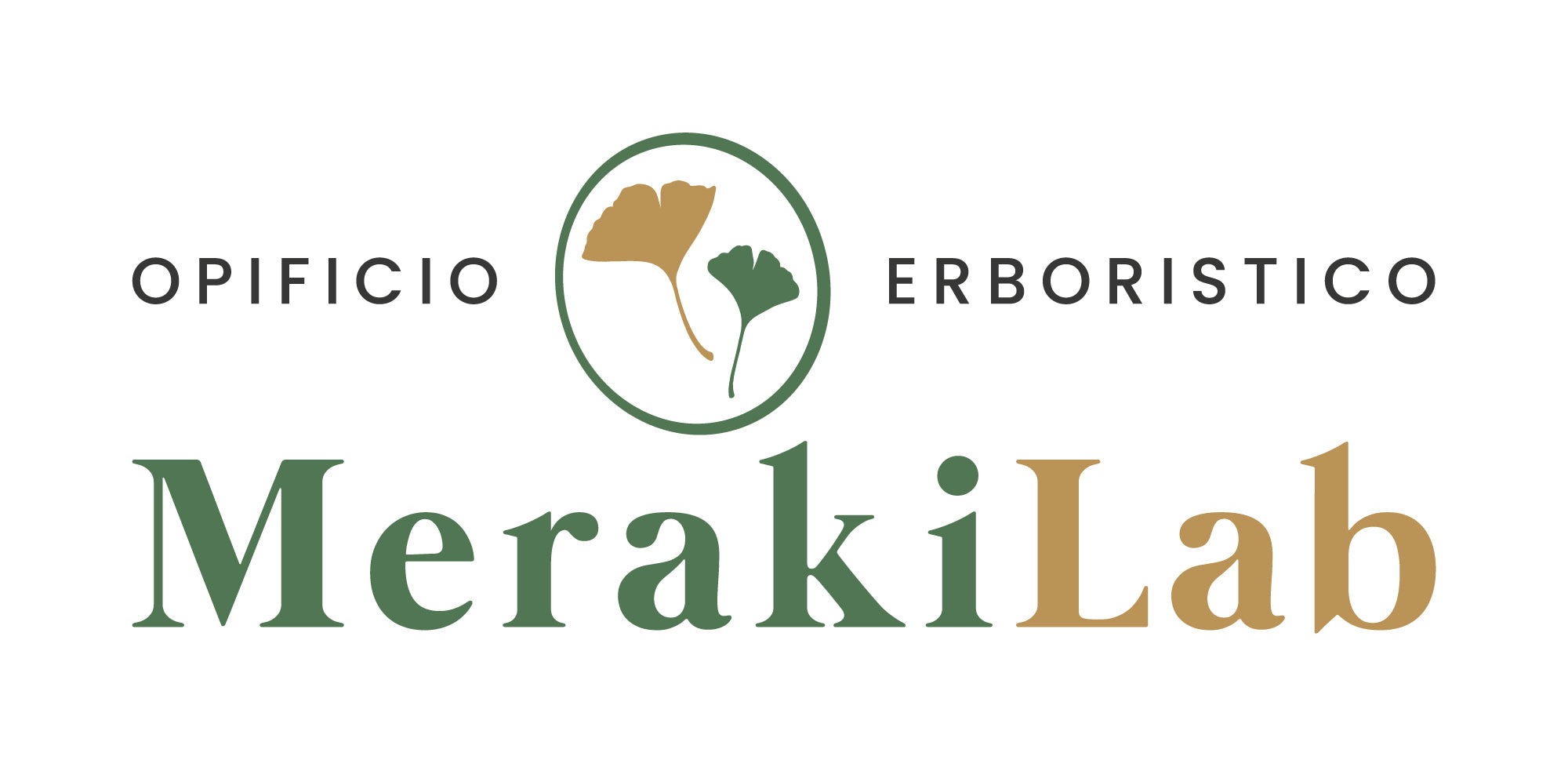 Meraki Lab